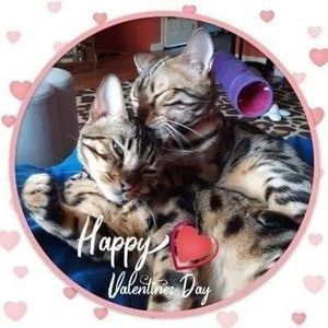 Meet your Posher, Alicia